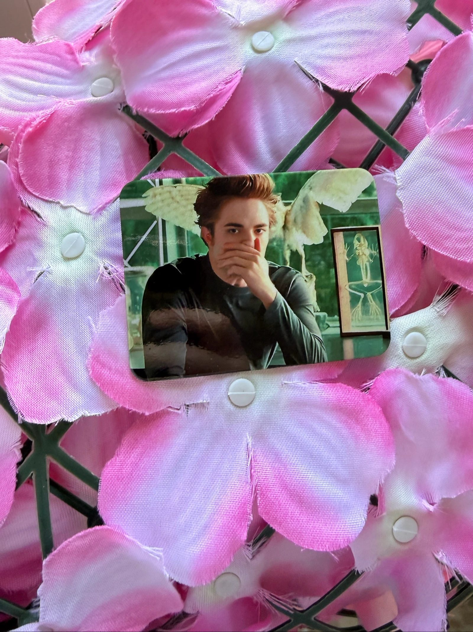 Imã Edward Cullen – photo 10